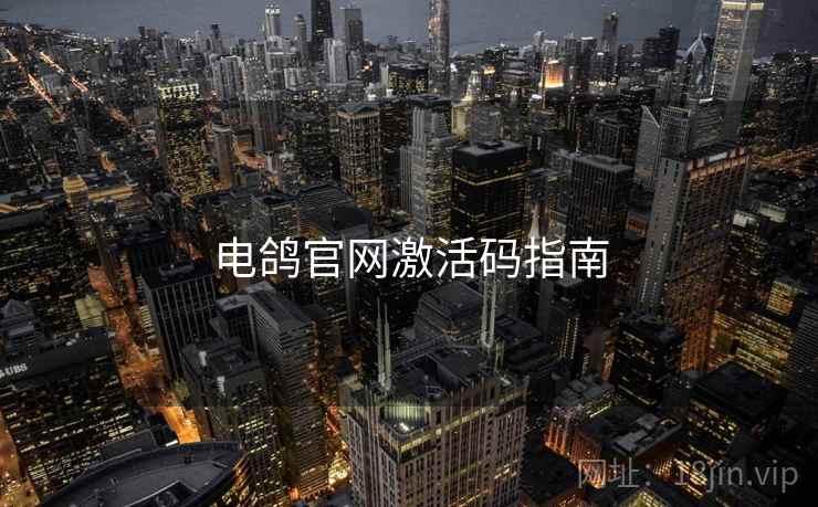 电鸽官网激活码指南  第2张