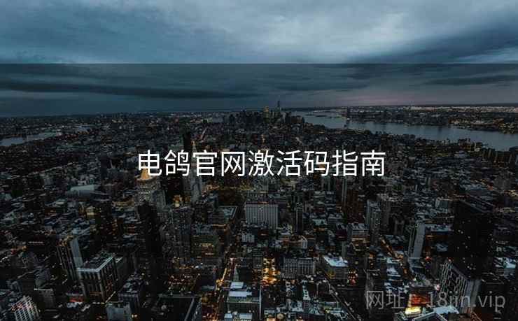电鸽官网激活码指南  第1张