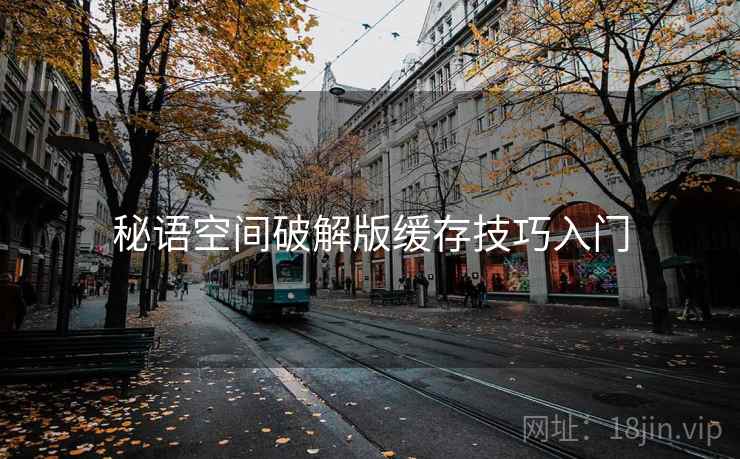 秘语空间破解版缓存技巧入门  第2张