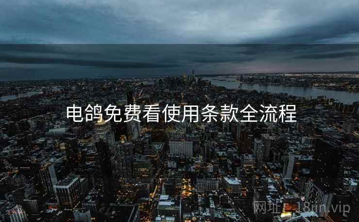 电鸽免费看使用条款全流程  第1张