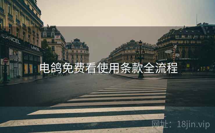 电鸽免费看使用条款全流程  第2张
