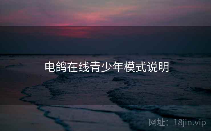 电鸽在线青少年模式说明  第2张
