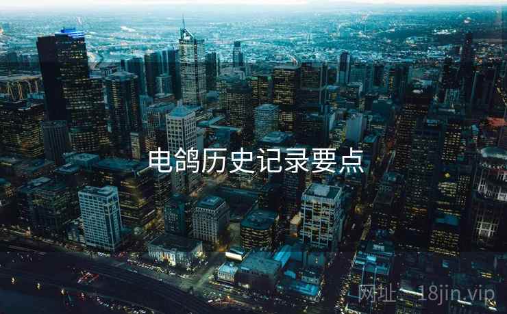 电鸽历史记录要点  第1张