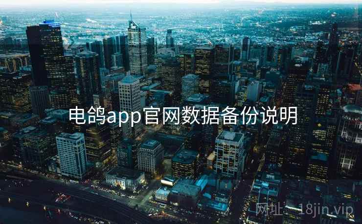 电鸽app官网数据备份说明  第2张