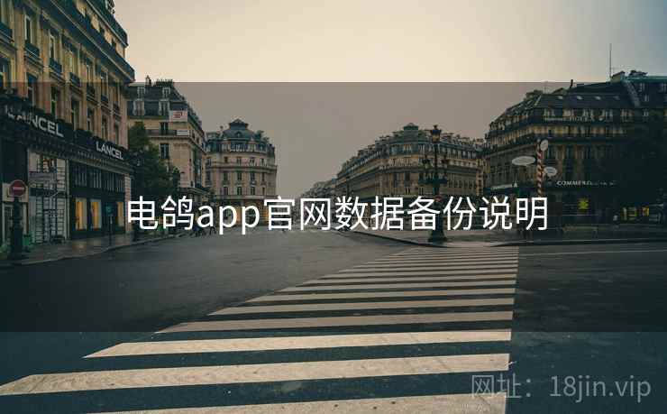 电鸽app官网数据备份说明  第1张