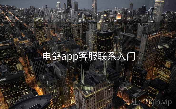 电鸽app客服联系入门  第2张