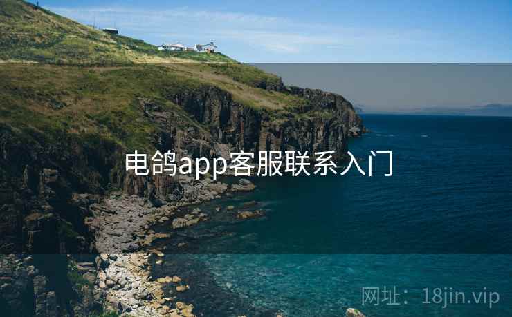电鸽app客服联系入门  第1张