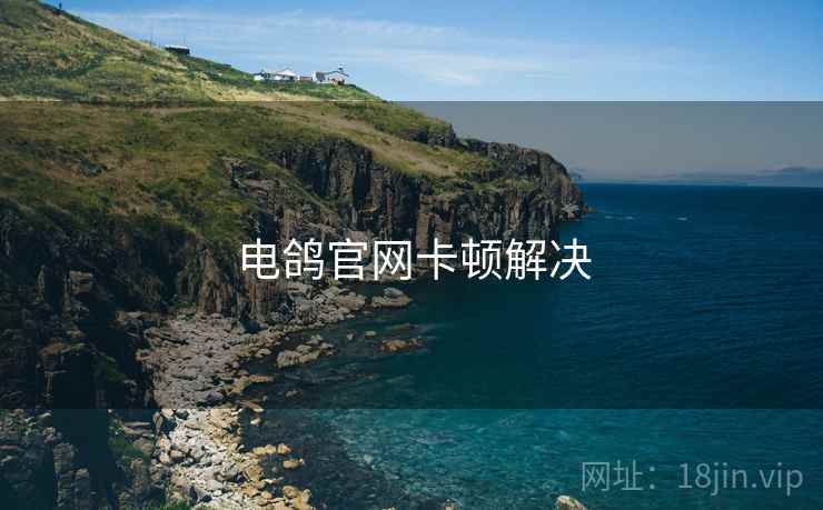电鸽官网卡顿解决  第2张