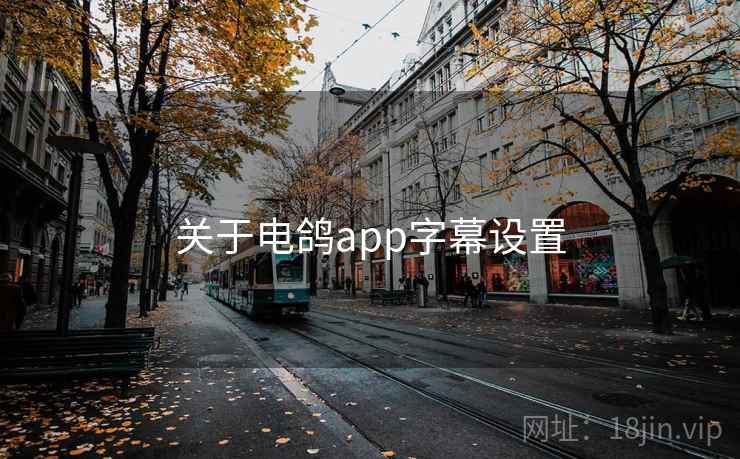 关于电鸽app字幕设置  第1张