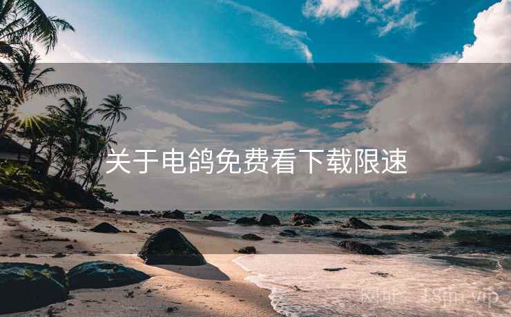 关于电鸽免费看下载限速  第1张
