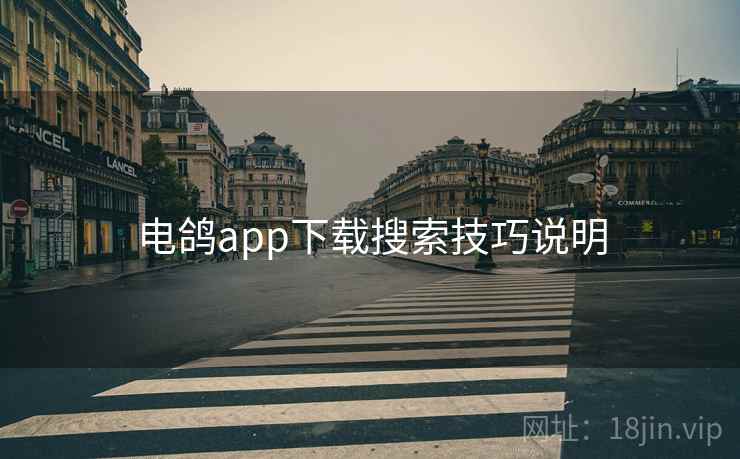 电鸽app下载搜索技巧说明  第2张