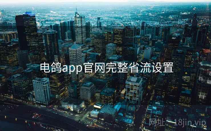 电鸽app官网完整省流设置  第1张