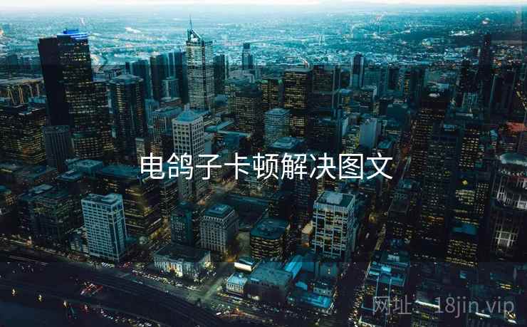 电鸽子卡顿解决图文  第1张