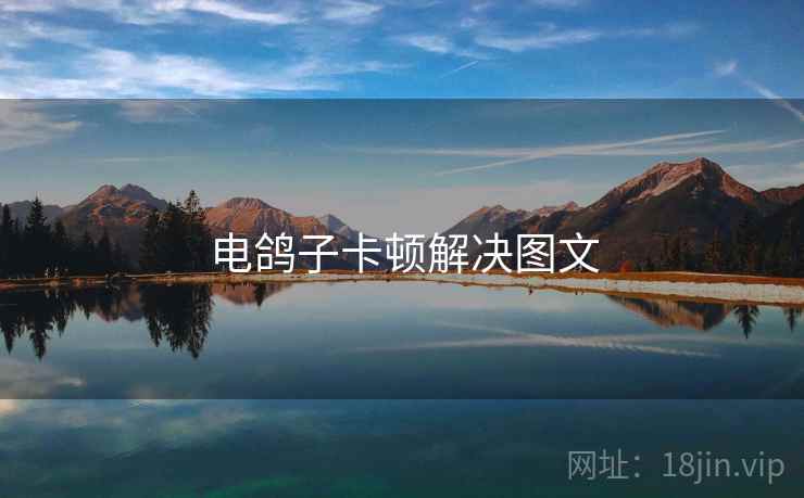 电鸽子卡顿解决图文  第2张