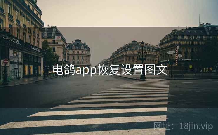 电鸽app恢复设置图文  第1张