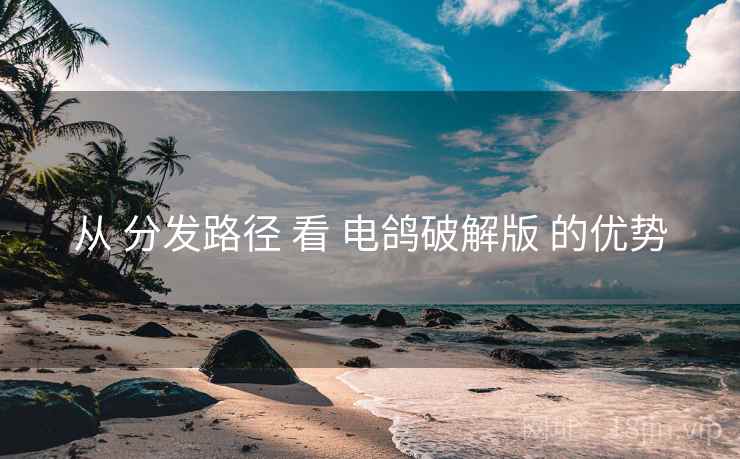 从 分发路径 看 电鸽破解版 的优势  第2张