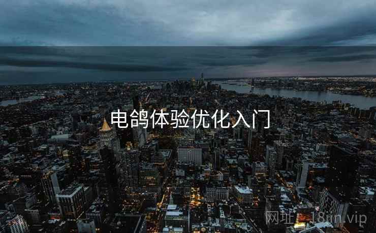 电鸽体验优化入门  第1张