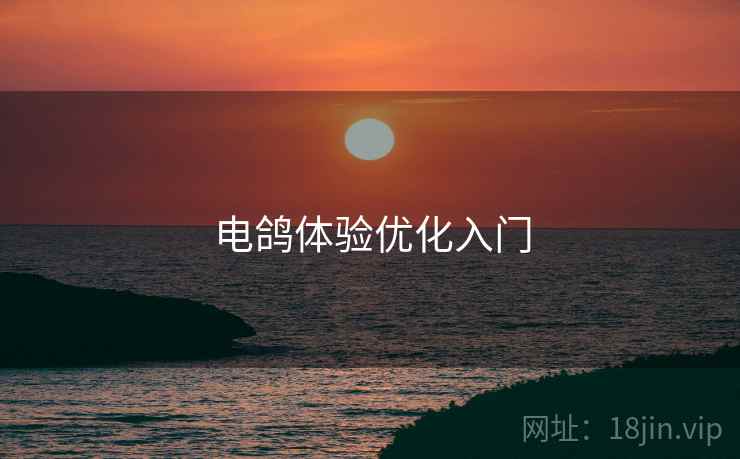 电鸽体验优化入门  第2张