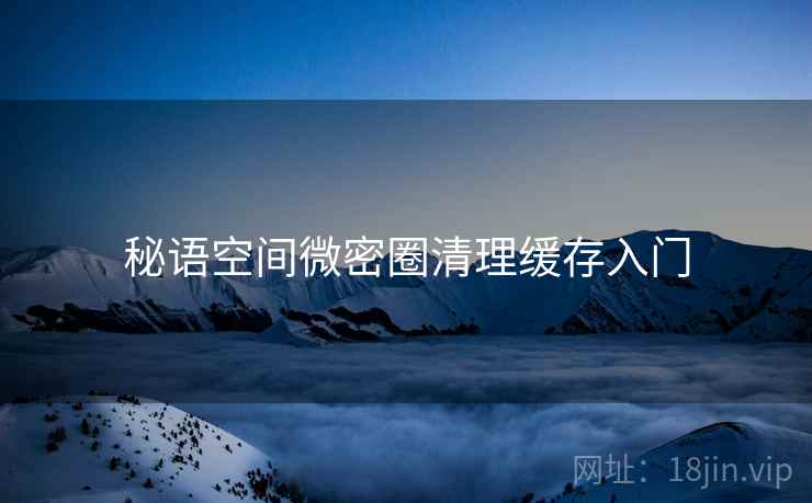 秘语空间微密圈清理缓存入门  第1张