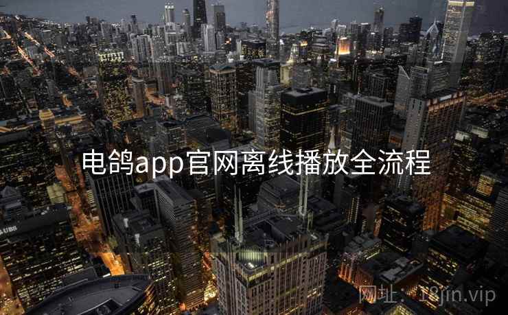 电鸽app官网离线播放全流程  第1张