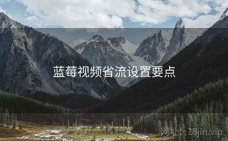 蓝莓视频省流设置要点  第1张