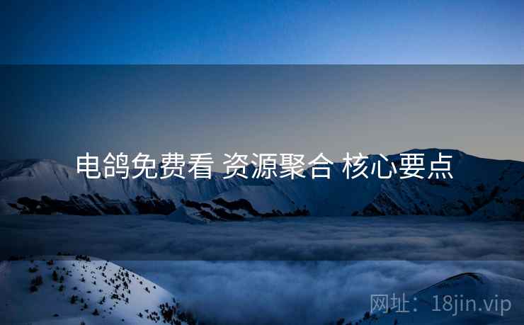 电鸽免费看 资源聚合 核心要点  第2张