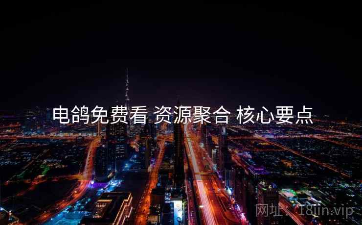 电鸽免费看 资源聚合 核心要点  第1张