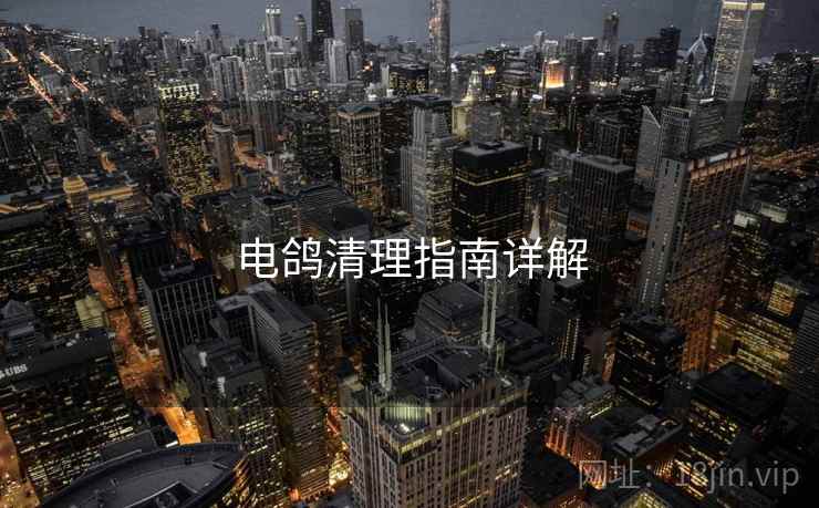 电鸽清理指南详解  第2张