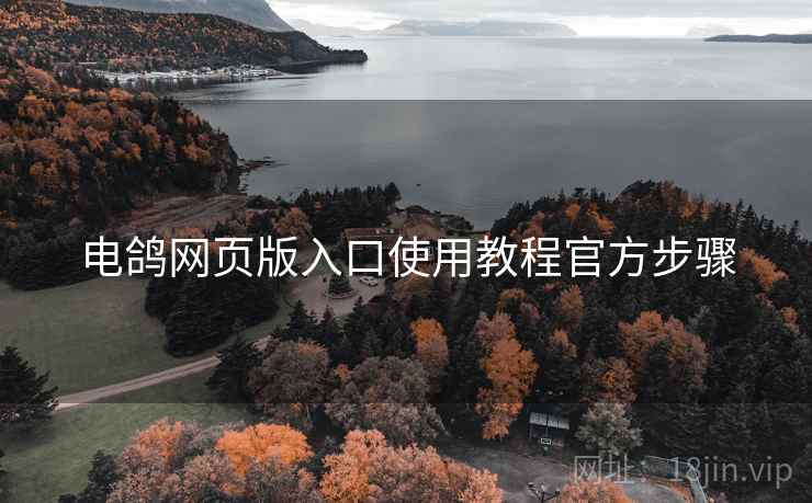 电鸽网页版入口使用教程官方步骤  第2张