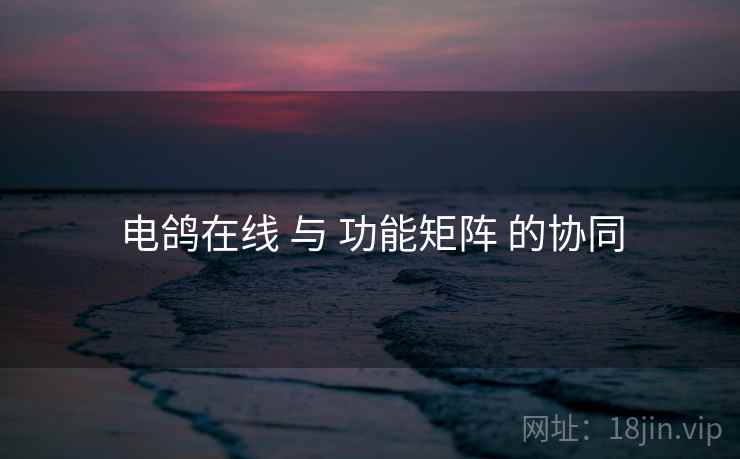 电鸽在线 与 功能矩阵 的协同  第1张