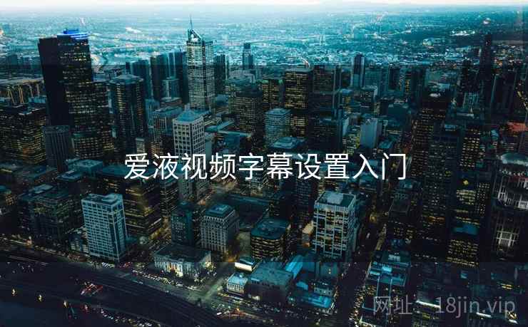 爱液视频字幕设置入门  第2张