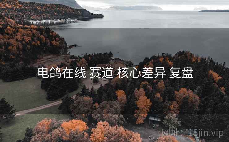 电鸽在线 赛道 核心差异 复盘  第1张